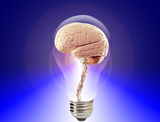 mozek v žárovce.jpg